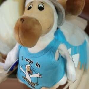 Medium Dodo Plush