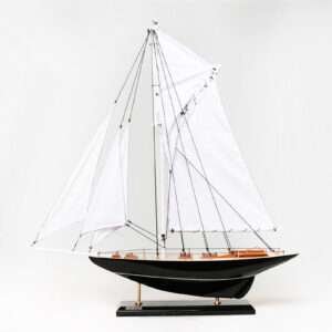 Penduick PM (56cm) ( Bateau de Eric Tabarlie )