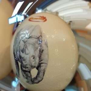 Real Autriche Egg Coated with Ceramic