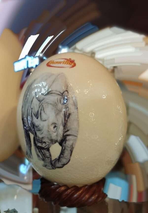 Real Autriche Egg Coated with Ceramic