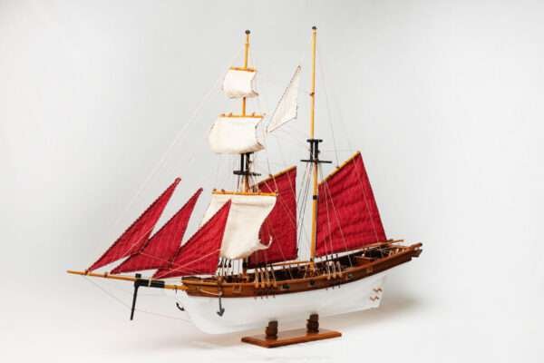Albatros PM (72cm) ( Baltimore Ship )